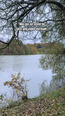 Pas prête de faire un reportage animalier 😭 #goldenretriever 