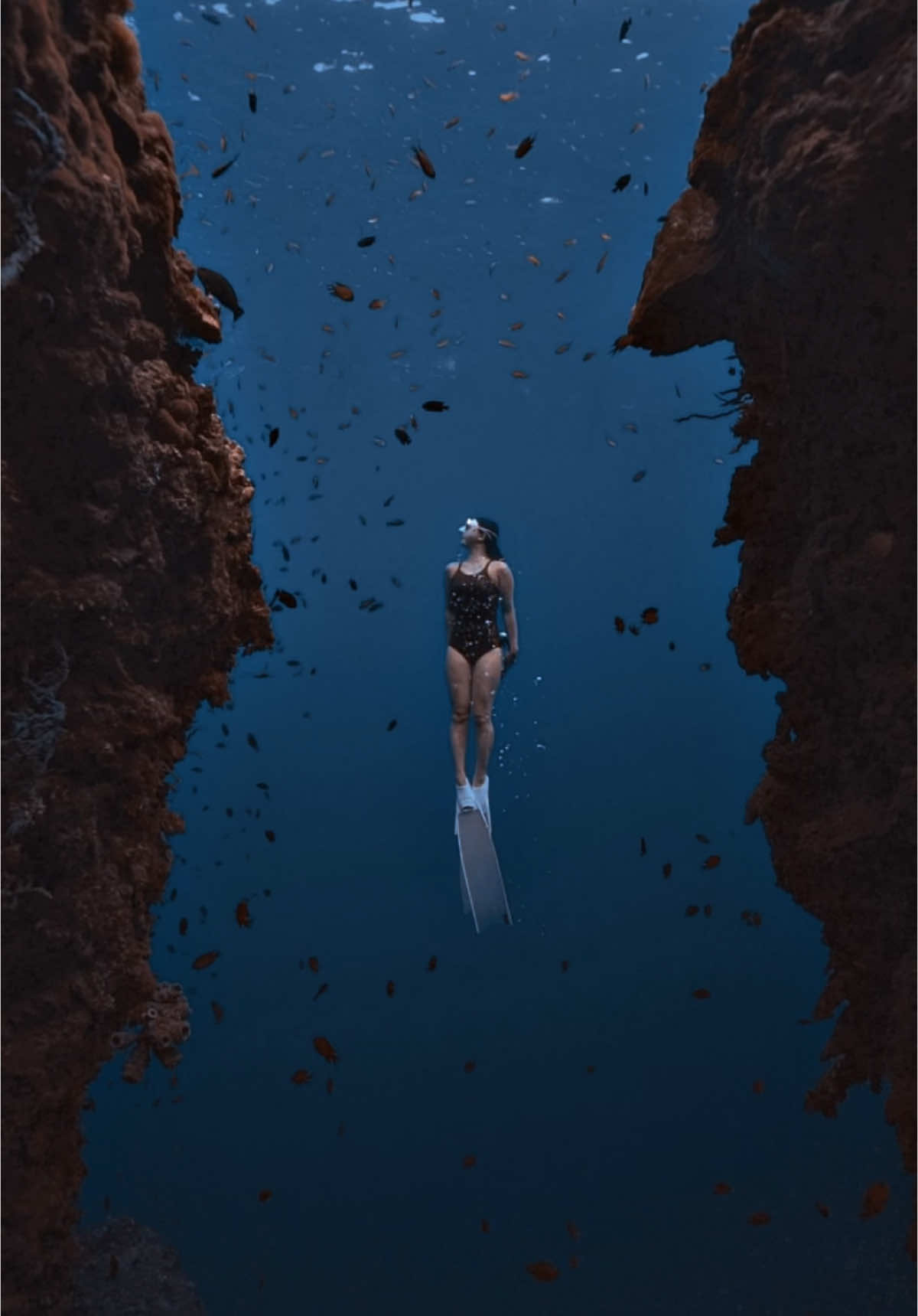 Lucky dive NAPALING CRACK + TURTLE #lumafusion #colorgrading #underwaterphotography #freediving #freedivepanglao #napaling #napalingreef 