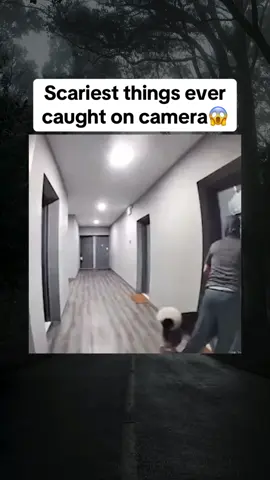 Scariest things ever caught on camera #scary 