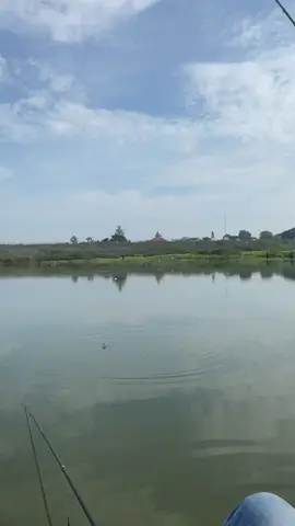 #lewatbrandafypツ #4u #fypage #macing 