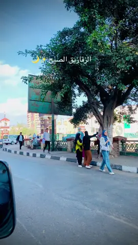 جمالك يا زقازيق 💫✨#الزقازيق #الزقازيق #الشرقيه #fyp #foruyou #الزقازيق 