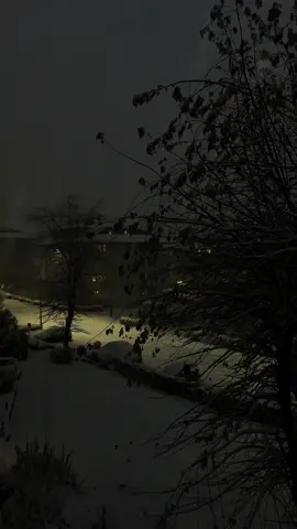 خليكي الليلة عندي 🥺🦋🌨️ .. …. #tulip19_ #بدون_موسيقى #fyp #تصويري #تصميمي #وائل_كفوري  #ليكي_برا_جنون_البرد🥶🌨️ 