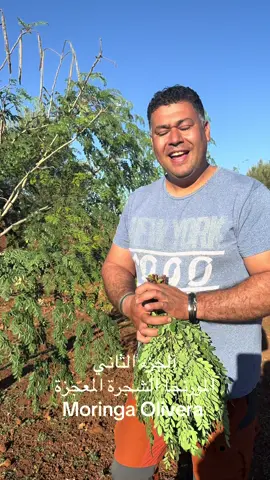 آلجزء الثاني  المورنجا الشجرة المعجزة  Moringa Olivera #فرنسا🇨🇵_بلجيكا🇧🇪_المانيا🇩🇪_اسبانيا🇪🇸 #اكادير_تيزنيت_تافروت_إمازيغن #الشعب_الصيني_ماله_حل😂😂 #الدار_البيضاء_مراكش_الرباط_طنجة #مراكش_الحمراء_الرباط_طنجة_مكناس #اسبانيا🇪🇸_ايطاليا🇮🇹_البرتغال🇵🇹 #الرباط_سلا_المغرب🇲🇦 #فاس_حاكمة_العالم #اكادير_تيزنيت_تافروت_إمازيغن #فاس_حاكمة_العالم 