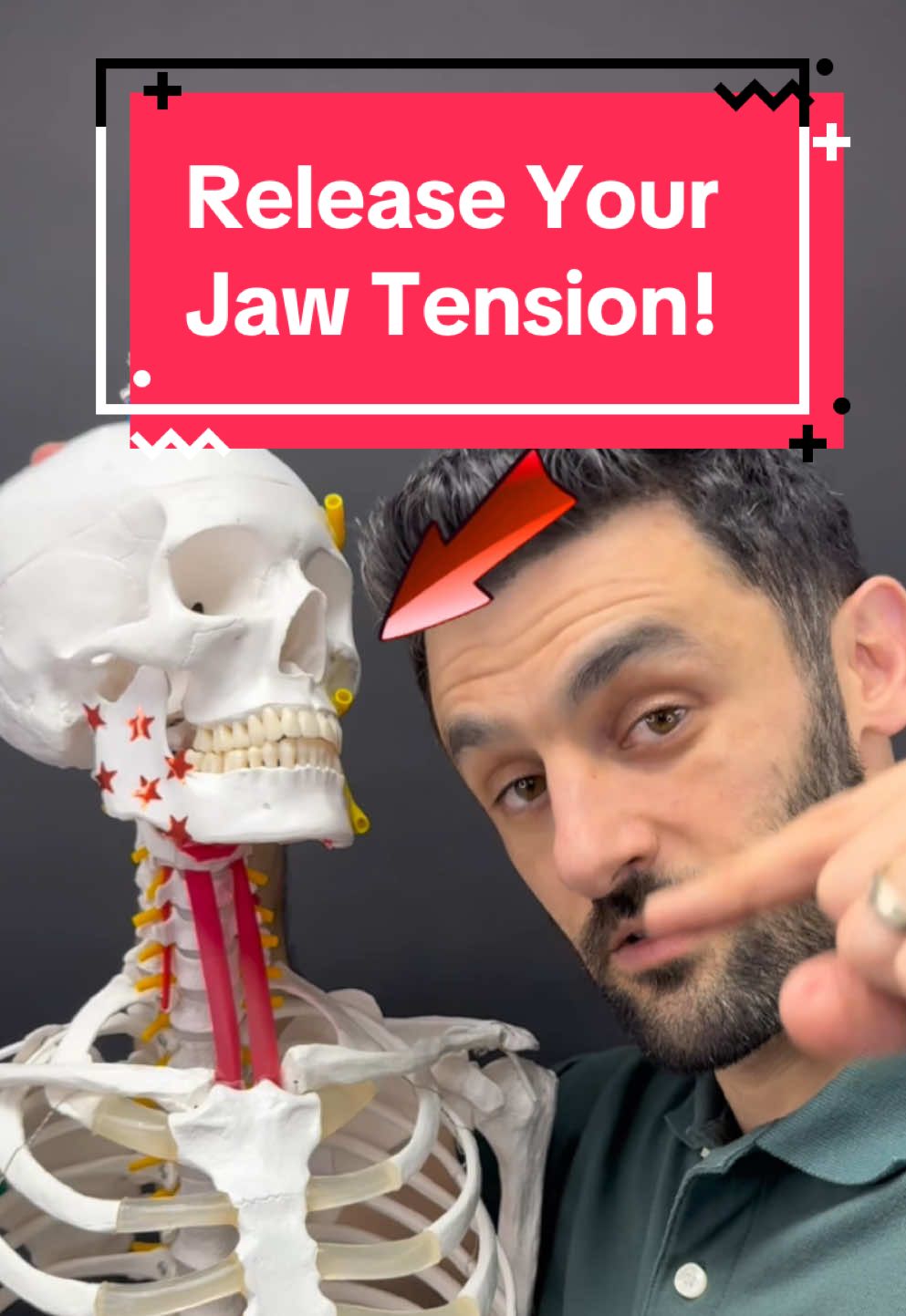 Click the link in my bio for my signature process to fix jaw or facial pain! Do you experience tension in the front of your throat? Difficulty swallowing, TMJ disorder, jaw pain or even neck tension when you look up? Well very commonly the muscles around the front of the neck, jaw and floor of the mouth can become tight…. Including the Sternohyoid! You see the infrahyoid muscles (below hyoid bone) one of which being the sternohyoid stabilize the hyoid bone… in other words they prevent the hyoid from elevating during swallowing. This allows the suprahyoids, which are above the hyoid bone to open the jaw.  Confused yet? However, when the infrahyoids, specifically that sternohyoid become too tight, they can create all sorts of discomfort. In this video, I show an excellent way to stretch the Sternohyoid. This can even help with breathing, TMJ, swallowing, headaches, and neck pain itself! #tmj #tmd #myofunctionaltherapy #dentist #tonguetie #neckpain #tmjtreatment #neckpainrelief #sternohyoid #tongue Well very commonly the muscles around the front of the neck, jaw and floor of the mouth can become tight…. Including the Sternohyoid! You see the infrahyoid muscles (below hyoid bone) one of which being the sternohyoid stabilize the hyoid bone… in other words they prevent the hyoid from elevating during swallowing. This allows the suprahyoids, which are above the hyoid bone to open the jaw.  Confused yet? However, when the infrahyoids, specifically that sternohyoid become too tight, they can create all sorts of discomfort. In this video, I show an excellent way to stretch the Sternohyoid. This can even help with breathing, TMJ, swallowing, headaches, and neck pain itself! #tmj #tmd #myofunctionaltherapy #dentist #tonguetie #neckpain #tmjtreatment #neckpainrelief #sternohyoid #tongue