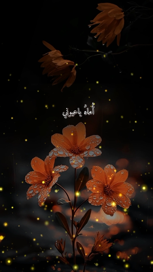 أماه يا عيوني يا أجمل اللحون  #اناشيد_بدون_موسيقى #اناشيد_متنوعة  #لا_اله_الا_الله #محمد_رسول_الله #صلى_الله_عليه_وسلم #اماه_يا_عيوني_يا_اجمل_اللحون 