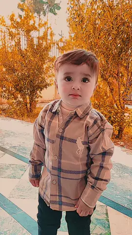 Zarnain Adil                                                   @ADIL MOBILE HOME  