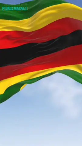 Small business Ideas in Zimbabwe: CAR WASH #fyp #zimtiktok #Zimbabwe #entrepreneurs 