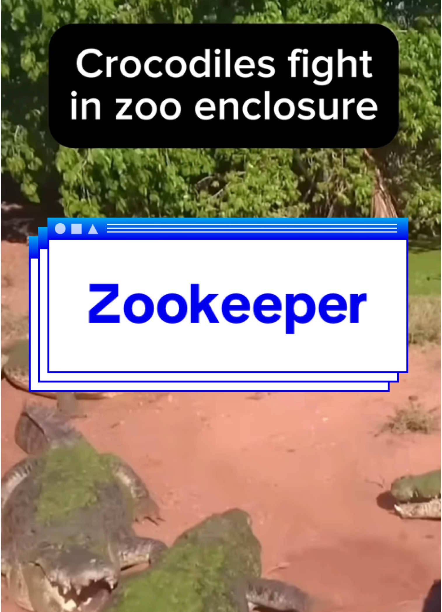 I am the best zookeeper #laugh #haha #comedу #jokes #viral 