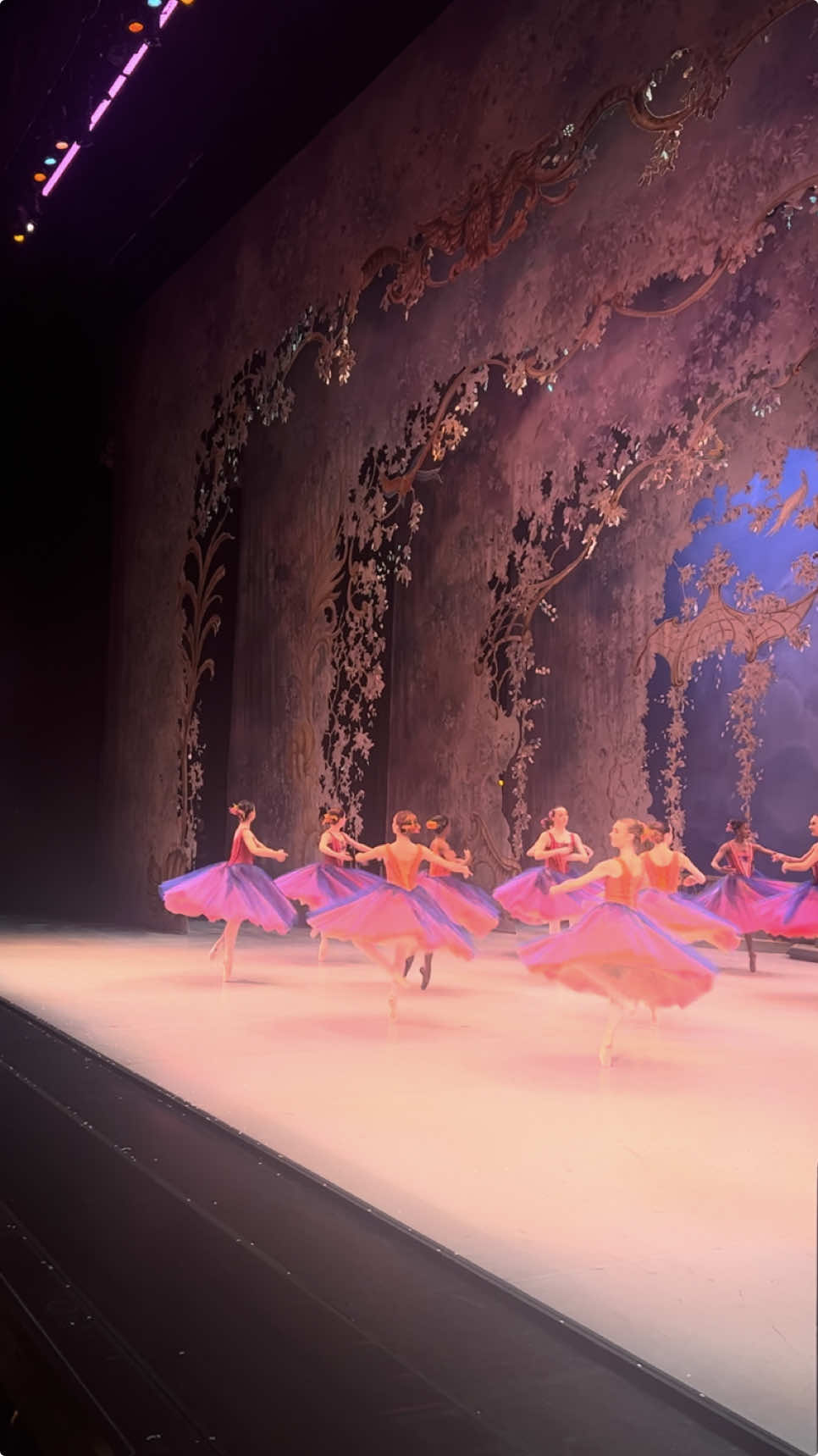 ASMR doux : La Valse des Fleurs sur scène // soft ASMR : The Waltz of Flowers on stage 🌸 🩰 #balletasmr #ballet #dance #ballerina #waltz #grandsballets #flowerwaltz #thenutcracker #cassenoisette #mtl #mtlevents 