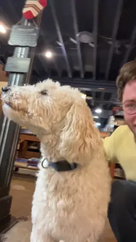 BOOK STORE DOG BOOK STORE DOG