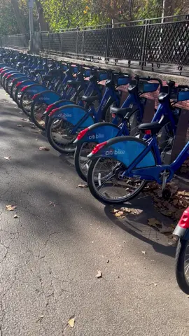 Public Bicyles rental in NewYork City #public #bicycle #rental #newyorkcity 
