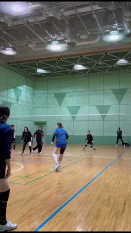 サポーター様 HAMC釧路動物病院 studio gordes #goldstars #volley #volleyball #八王子 #東京 #バレー #バレーボール #sport #goldstars八王子 #ハイキュー #排球 #🏐 #tokyo #japan #good #nice