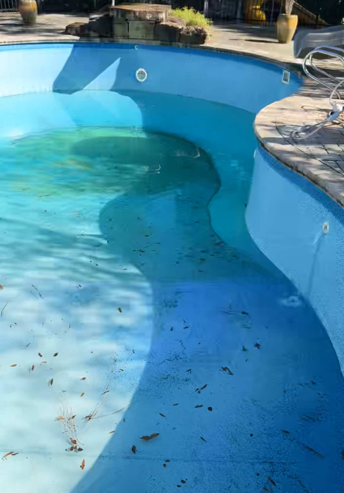 Imagine coming home to that 😬 #pool #fyp #foryoupage #poolleak #swimmingpool #poolcleaning #poolleakdetection #h20leakdetection #satisfyingvideo #satisfying #viral 