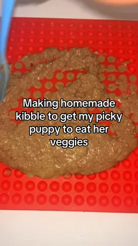 Picky dog kibble recipe! If you have questions lmk! She eats this instead of bagged kibble to get her veggie intake! (I used green beans, corn, carrots and potatoes for her veggies; frozen mix)