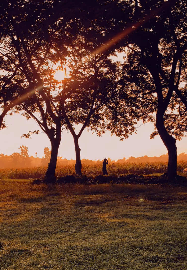🥷 #motivation #boxing #fyp #discipline #boyka #tank #🇮🇩 