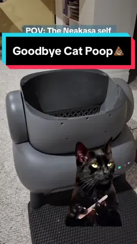 The Neakasa M1 Automatic Open Top Self Cleaning Cat Litterbox is deep discounted Black Friday sales days! #litterbox #litter #catlitter #catlitterbox #automaticlitterbox #selfcleaninglitterbox #neakasa #tiktokshopblackfriday #tiktokshopcybermonday