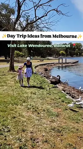 🌟 Day Trip Ideas from Melbourne 🌟  Looking for the perfect getaway? Head to Lake Wendouree in Ballarat! Here's your ultimate itinerary:  🚤 Stop 1: Explore Lake Wendouree and try pedal boating!  🌳 Stop 2: Let the kids run wild at the huge Apex Adventure Playground.  🚋 Stop 3: Hop on Ballarat's historic trams for a charming ride through history.  🍕 Stop 4: Refuel at Forge Pizzeria– home to the best woodfire pizzas!  🌺 Stop 5: End your day surrounded by beauty at the Ballarat Botanical Gardens  Perfect for a fun-filled family day! ❤️ Have you been here? ! 👇 #ballarat #daytrips #lakewendouree #WeekendGetaway #Familytravels #familyfriendly #PlacesToVisit #travelaustralia #regionalvictoria #cityofballarat Day trips from Melbourne, Ballarat, Lake Wendouree, Family friendly getaway, Day Trip Ideas, Regional Victoria