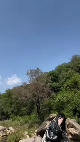 ❤️ @AWAN ZADI🥷 @Qasim Ayub 