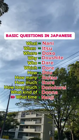 Basic Questions in Japanese #japan #japanese #japantiktok #japantravel #japanlife #japantrip #japanculture #learnjapanese #learnjapanesewithme #learnjapaneseonline #learnjapaneselanguage #learnjapanesewords #learnjapanesetogether #japaneselanguage #japaneseculture #japanesewords #learnnihongo #nihongo #日本語 #日本語ラップ #japaneselesson #japaneselessons #studyjapanese #studyjapanesewithme #studyjapaneselanguage #keeplearning #ofw 