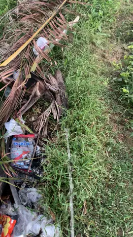 #ธรรมชาติบําบัด🍃🌿💚 #กันทรลักษ์ #ศรีสะเกษ 