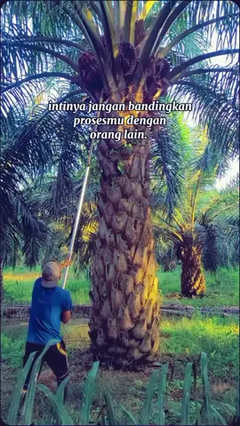 #relsfypシviral #bugisbulukumba @🇮🇩🌴 Jusri 🌴🇲🇾 