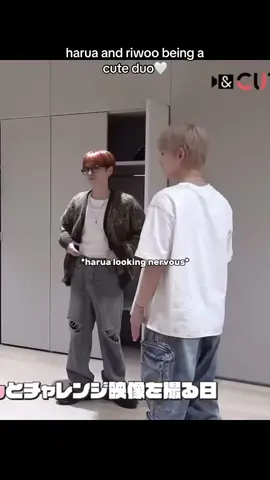 need me a wingman like nico ngl😍 (NOT SHIPPING RIWOO AND HARUA, DONT BE WEIRD.) #haruaandteam #andteam_harua #riwooboynextdoor #boynextdoorriwoo 