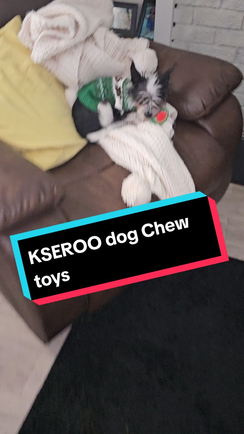 Always on the run..🤣🤣 #kseroo #kseroochewtoy 