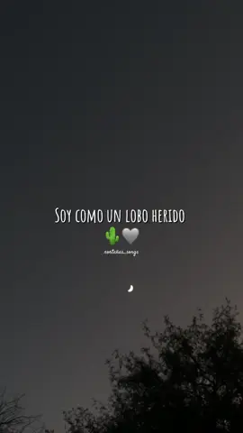 Lobo herido 🩶 #pepetovaryloschacales #paratiiiiiiiiiiiiiiiiiiiiiiiiiiiiiii #fypシ゚ #norteñas #norteñasconsax🎷 #norteñosax🎷 #norteñas2024 #🌵 #cancionesparahistorias #norteñas_songs #cancionesparadedicar #norteñassongs #norteñasnuevas #mexico🇲🇽 #norteñasvirales #norteñasviejitas #loboherido #pepetovarloschacales #pepetovar #loschacalesdepepetovar 
