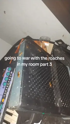 #fyp #viral #roaches #blowthisup #joke #meme 