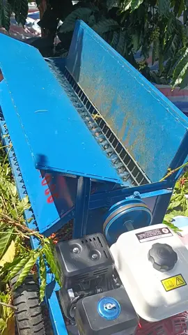 Trả lời @vanvinh010 #bichngoc1999 . suất sắc cả nhà ạ 🥰🥰. học hỏi và ap dụng những điều mới mẻ