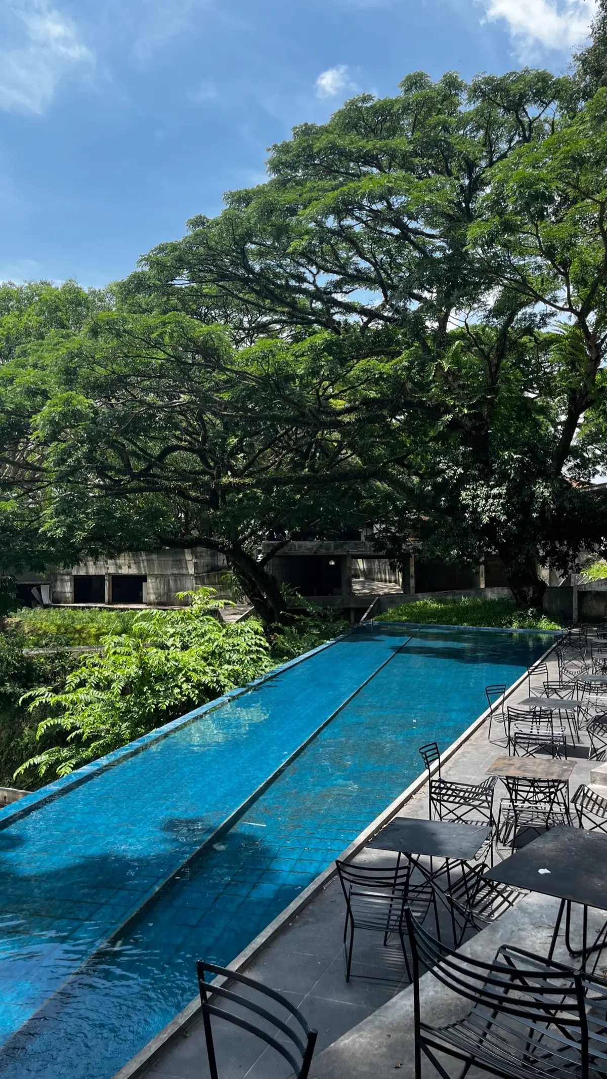 wajib kesini kalo ke malang🍃 #critasena #malanghits #fyp 