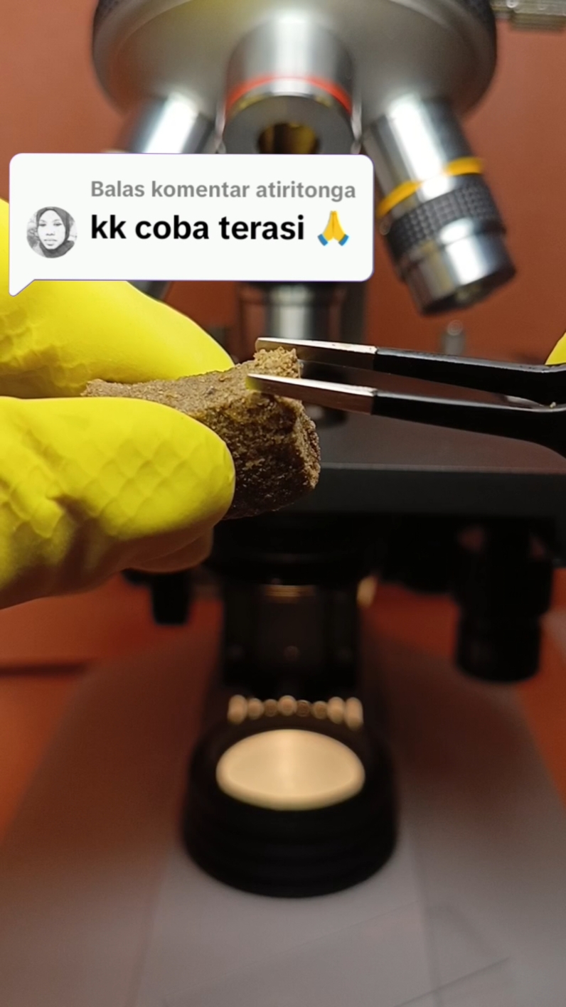 zoom terasi makanan ringan😄#trendingtiktok #mikroskop #hanyahiburan @atiritonga ini mbak🙂