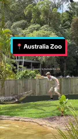 Australia’s sweetheart for sure @Robert Irwin  #australiazoo #wildlifewarriors #robertirwin #steveirwinlegacy #bindiirwin #irwinfamily #wildlifeconservation #queenslandtourism #australianwildlife #familydayout #zootrip #animalencounters #exploreaustralia #naturelovers #kidsactivities #visitqueensland #wildlifephotography #australianzoos #conservationheroes 