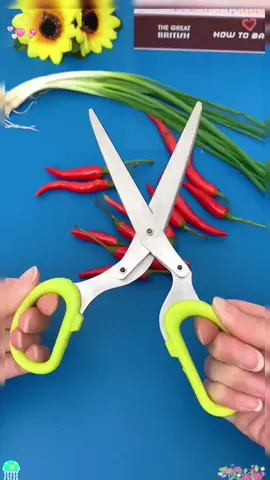 Đa chức năng thép không gỉ năm lớp hành lá kéo, tỏi tây rau mùi hành lá ớt không làm tổn thương tay, tiết kiệm thời gian và lao động #kéo 