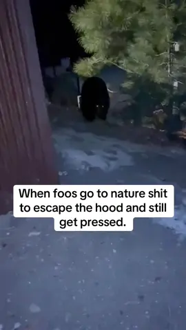 Peace cannot be obtained. #fypシ #foryoupage #meme #memestiktok #bear #foosgoneswild #foo #vatoslocos #nature #forest @FOOS GONE WILD  📷:@BigLazy_13  🐸: @JOEYGHOST 