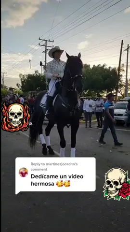 #caballospurasangre  #caballosbailadores🍀🐴🍎  #audioedit   #edits   #tik_tok   #cap   #capcut_edit   #fypp  #paratiiii   #paratiiiiiiiiiiiiiiiiiiiiiiiiiiiiiii  ##parati  #fouryou   #four  #caballostiktok 
