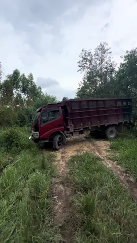 Perdana pabrik #sawitontiktok #sawitriau #banjir #toyota #hilux #dyna #diesel #fuppppppppppppppppppppppppp 