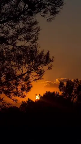 جوانی خۆر ئاوابون 🥺🌔