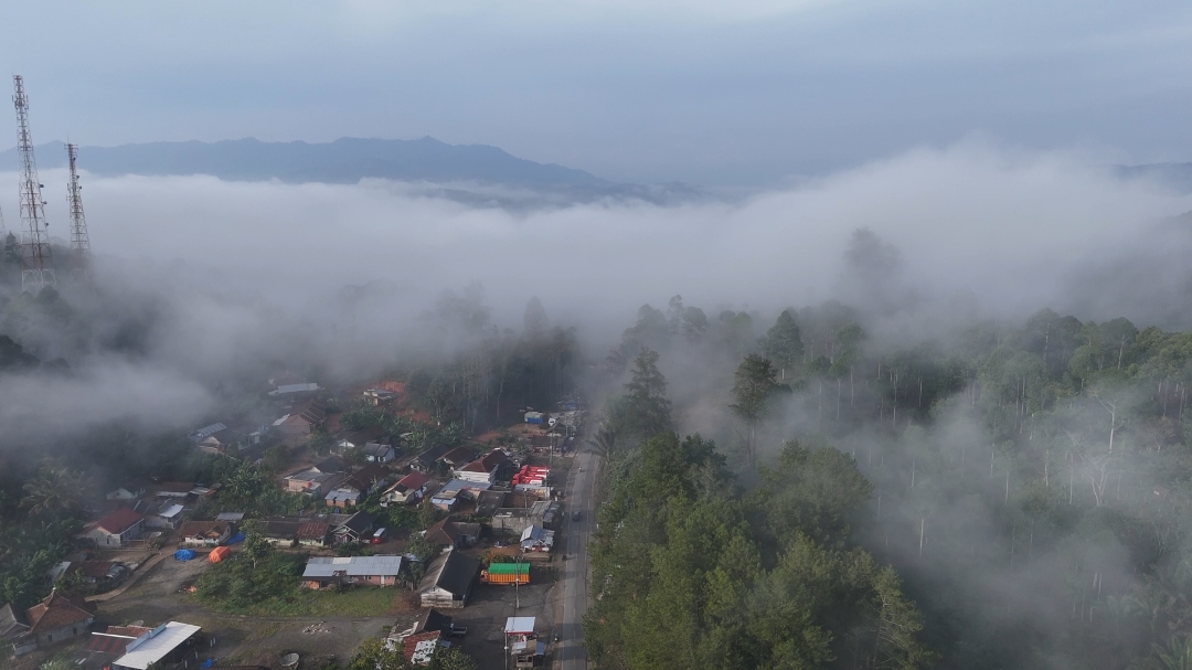 Vibes Masuk area Lampung Barat #lampung #lampungbarat #lampungpunyacerita #lampungpride #lampunggeh #lampungviral #pinusecoparksumberjaya 