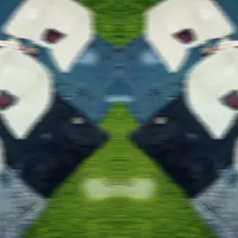 #fashion home#subdar  Bazar Daska #contact 03026664908#watsapp 03117400922#foryou 