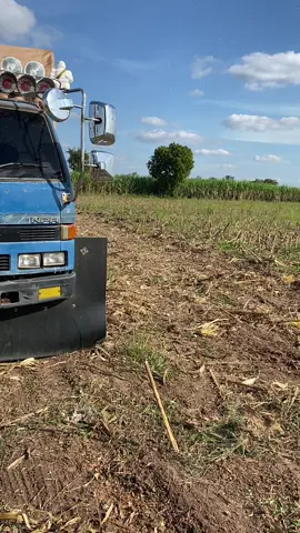 ขุดจิ้งหรีดอีกไหมน้อวันนี้🤣🤣🌽