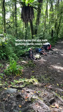 Oke #fypシ゚viral #CapCut #fyppppppppppppppppppppppp #anakgunung #gunungkerinci3805mdpl #pendaki #anakgunung #kerinci 