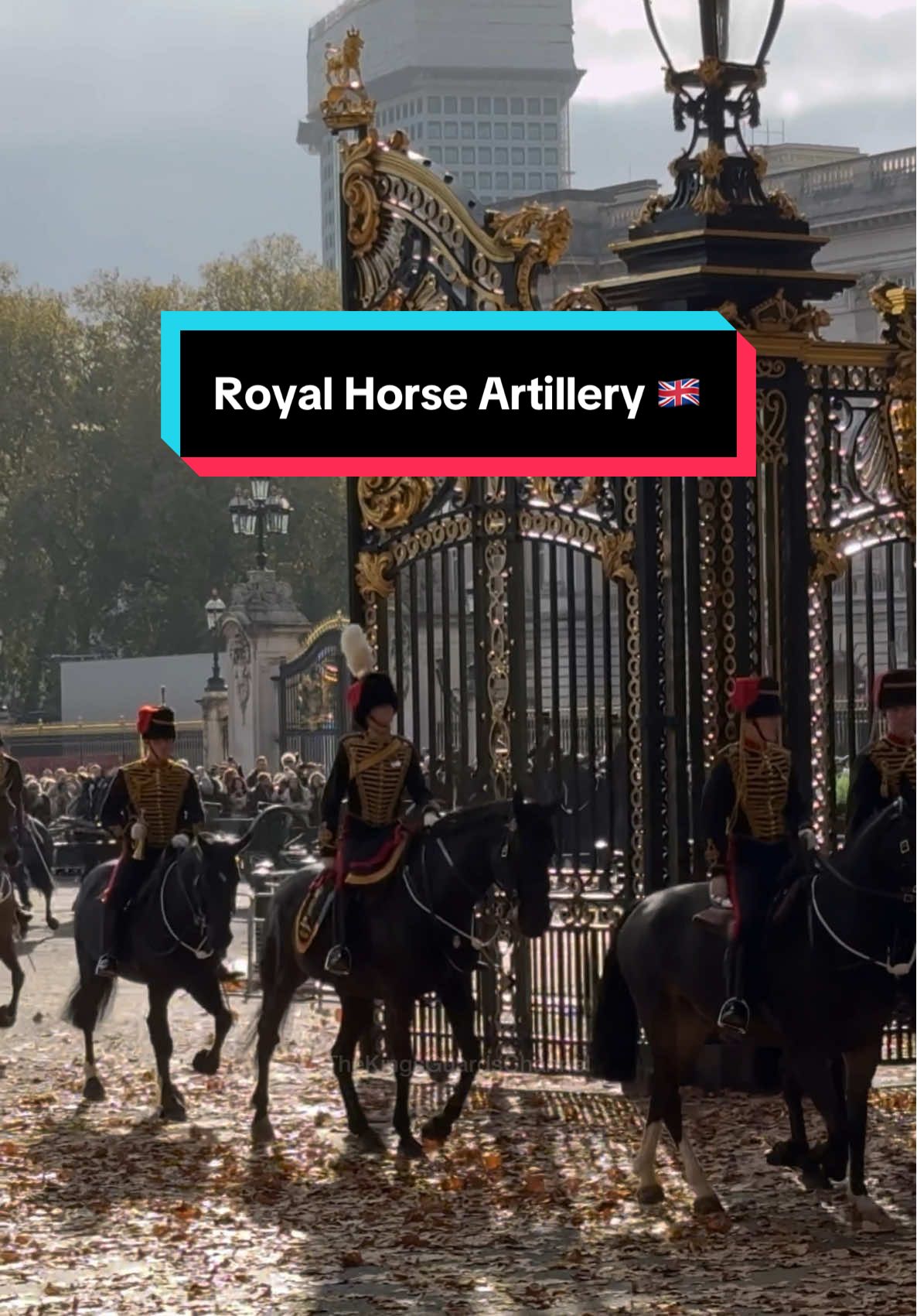 The Royal Horse Artillery Ride next ro Buckingham Palace 🇬🇧  #fyp #foryoupage #royalfamily #horses #guards #horseguard #horsesoftiktoktok #london 