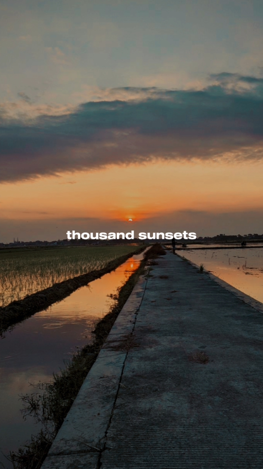 pain my love #mtrl #lirikaesthetic #sunset #liriklagu #musikstory #fyp #VoiceEffects #masukberanda #masukberanda 