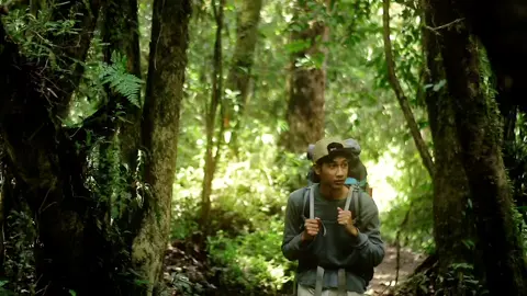 senang bisa mengenalmu di bumi yang luas ini -gunung