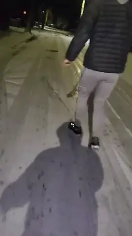 Where all the fun, laughs, and entertainment comes…❄️😁#fyppppppppppppppppppppppp #snowfall #christmas #hilariouspetstiktoktv 