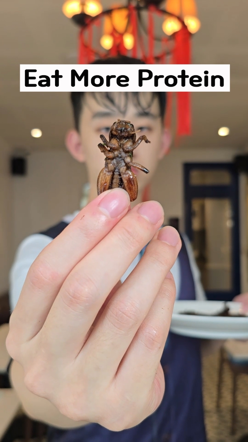 내가 제일 좋아하는 베트남 음식 My Favorite Vietnamese Food #shorts #베트남 #귀뚜라미 #길거리음식 #여행 #먹방 #트레져헌터 #붕따우 #베트남앙사나 #vietnam #protein #streetfood #trip #dad #mukbang #angsanahotram #treasurehunter #vungtau