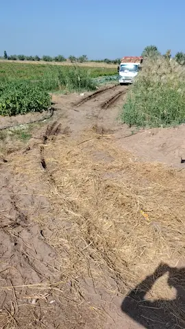 صلي على النبي🧿🔥🍅