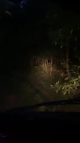 biết đâu bất ngờ, đi đêm nhiều có ngày gặp ma #xh #xuhuong #xetai75c #xekeo75huemaidinh♥️ 