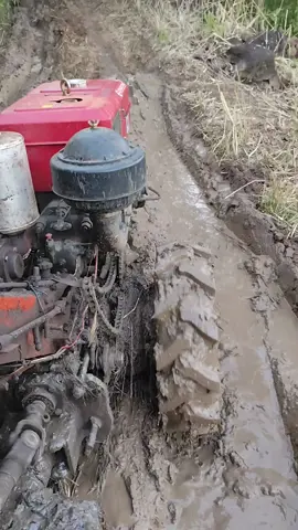 xe công nông chở lúa đường qua lấy #xecongnong 